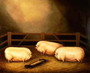 Three Prize Pigs Outside a Sty
